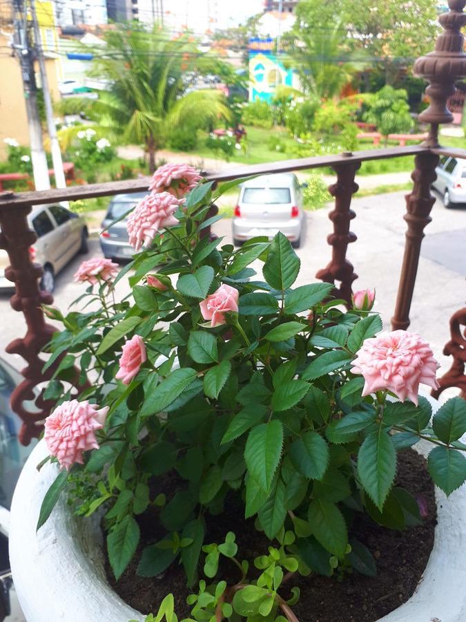 Casa Da Josi - Pajucara Leilighet Maceió Eksteriør bilde